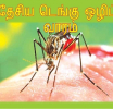 இன்று முதல் விசேட டெங்கு ஒழிப்பு வாரம்